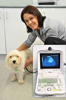 Macarthur Vet Ultrasonography 1
